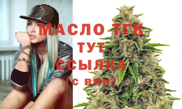 гидра Гусев