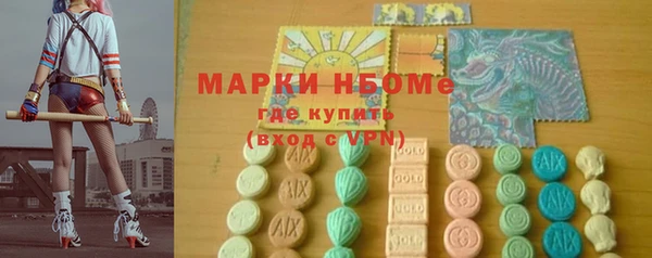 гидра Гусев