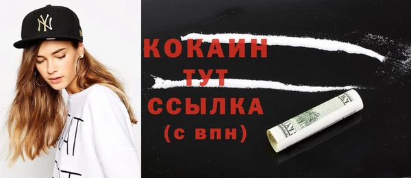 гидра Гусев