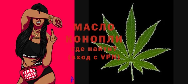 гидра Гусев