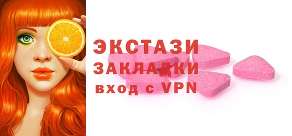 гидра Гусев
