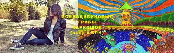 гидра Гусев