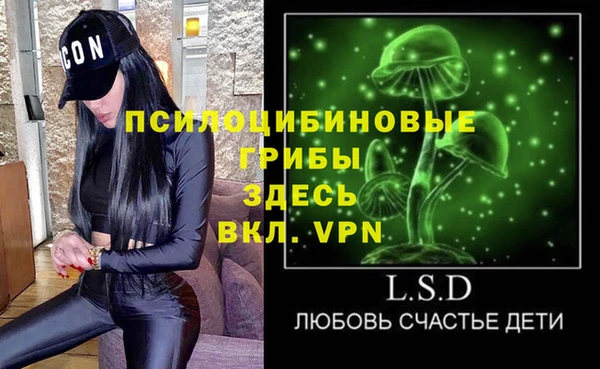 МДПВ Гусиноозёрск