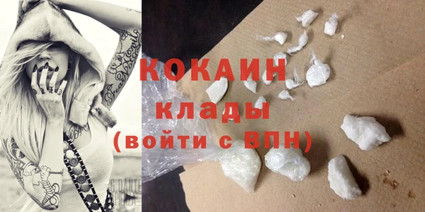 гидра Гусев