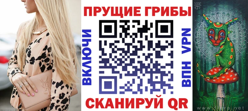 Псилоцибиновые грибы ЛСД  Купить где  Канаш 